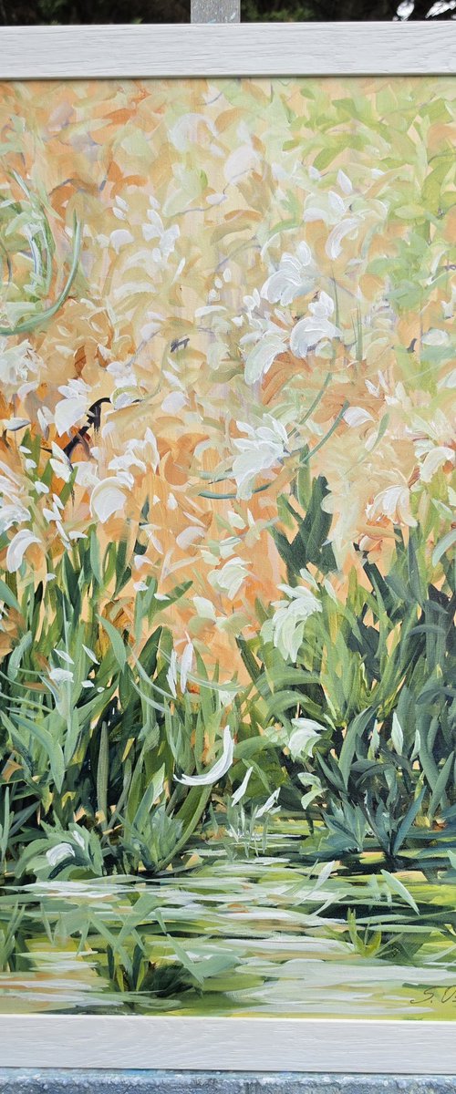 Sunrise Garden View by Sveta Osborne