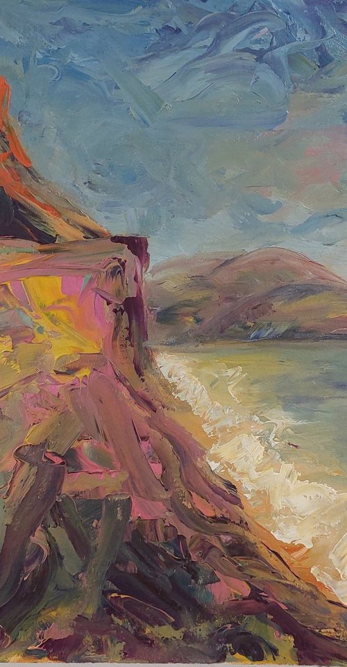 Summer Clifftops by Philippa Headley