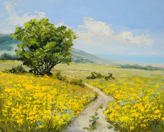 Sunlit Summer Meadow