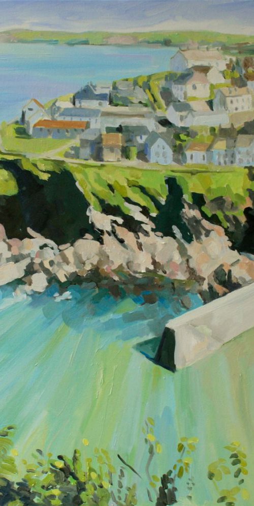 Port Isaac from Roascarrock Hill by Katharine Rowe