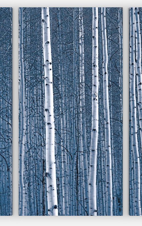 Aspen Blues Gallery Wrapped Canvas Triptych by Emily Kent