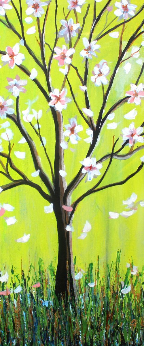 Magnolia Spring by Paul J Best