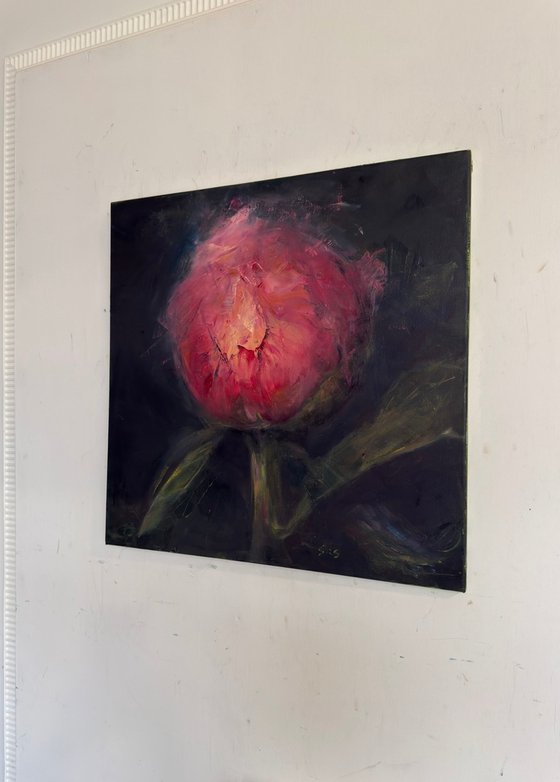 Pink peony