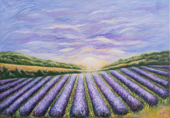 Lavender Horizon