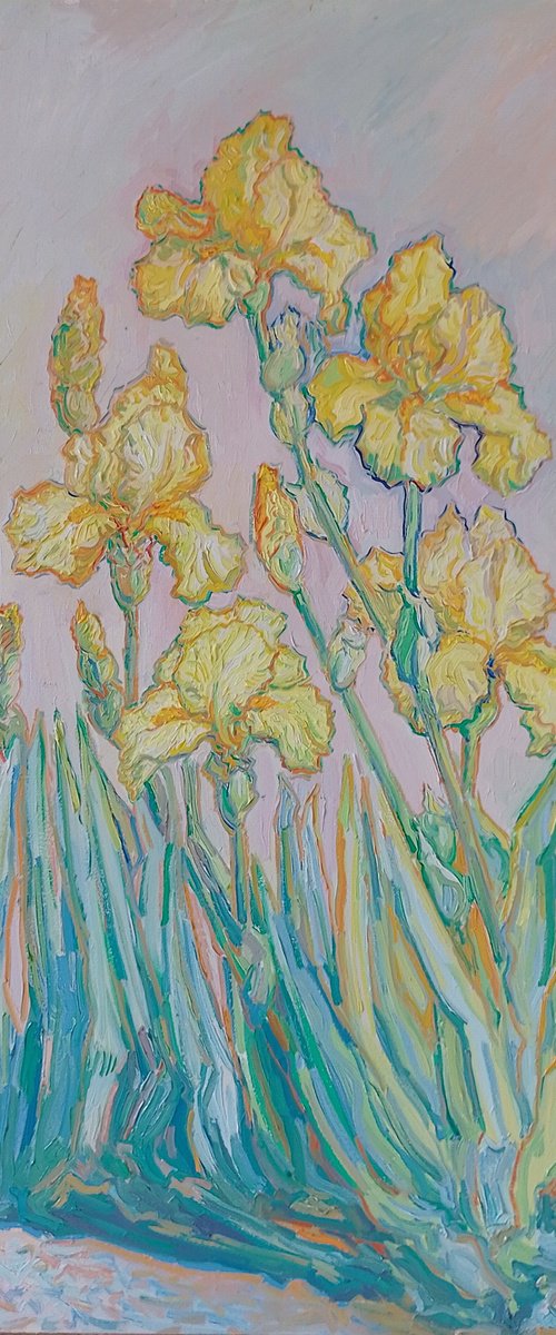 Yellow Bearded Irisis by Nigel Dickerson