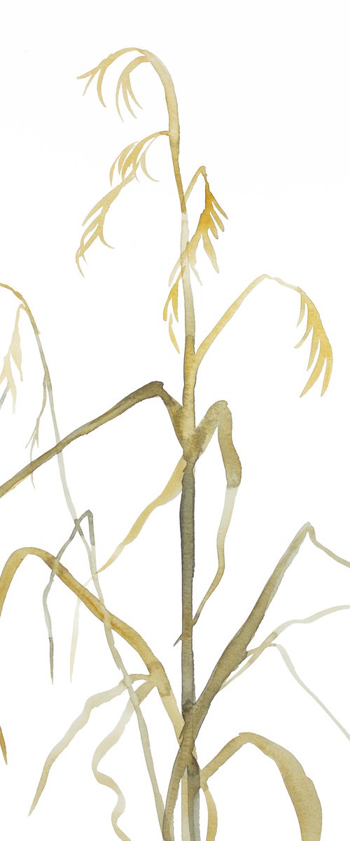 Grass Study No. 8 by Elizabeth Becker