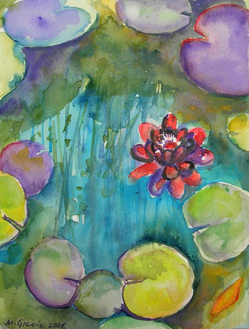 Water lilies 2 by Maja Grecic