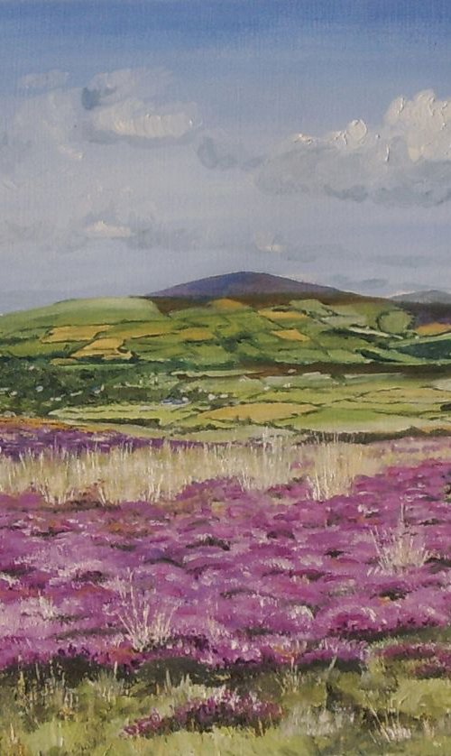 Heathers near Disused Mine, Foxdale - Isle of Man by Max Aitken