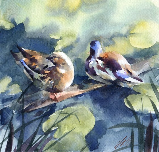 Couple of ducks on the river, Watercolor painting
