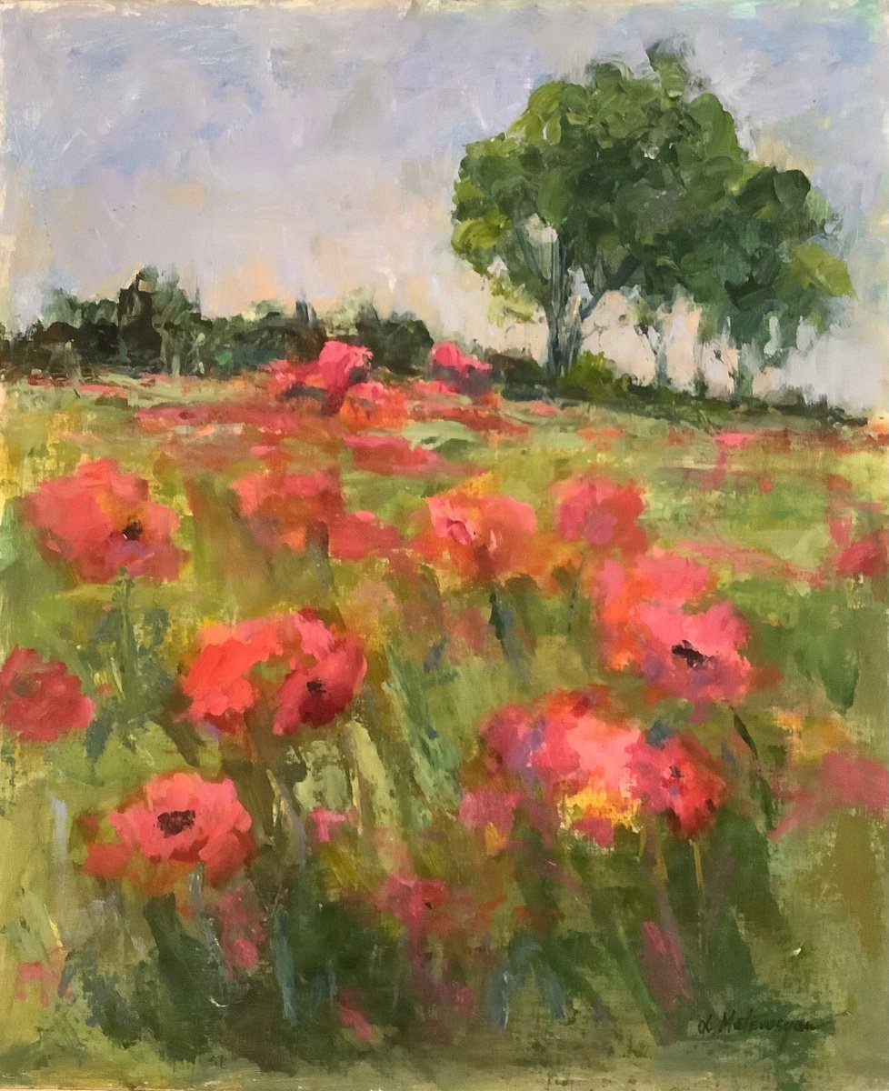 Impressionistic Landscape Oil Painting By Lia Matevosyan Haselton, 20 X 24", Poppies, Original Artwork