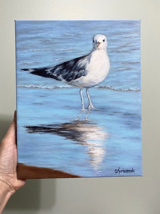 Seagull on the beach