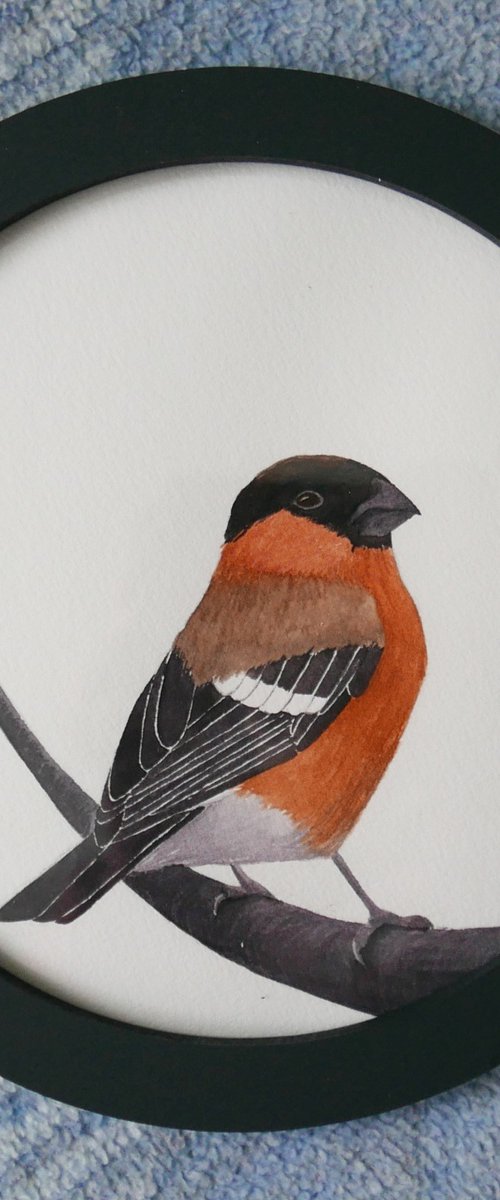 Bullfinch. Part 2 by Karina Danylchuk