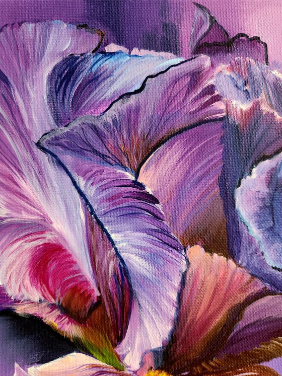 Iris in Barocco Style.