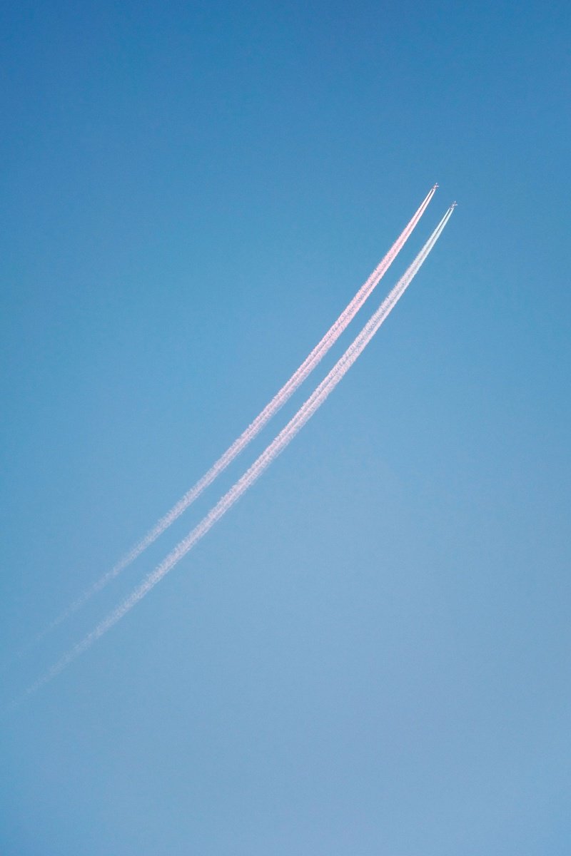 Surrealistic Landscape Photograph By Journey Gong, 16 X 24", Lovebirds, Original Artwork