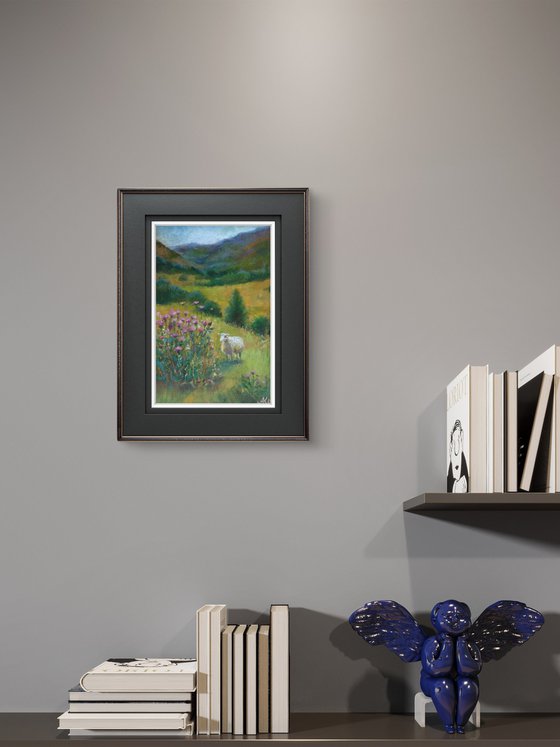 Scottish landscape, sheep on pasture