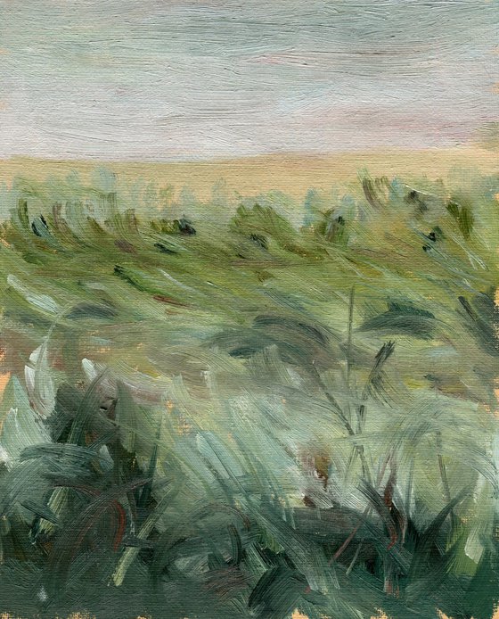 Quiet field 2