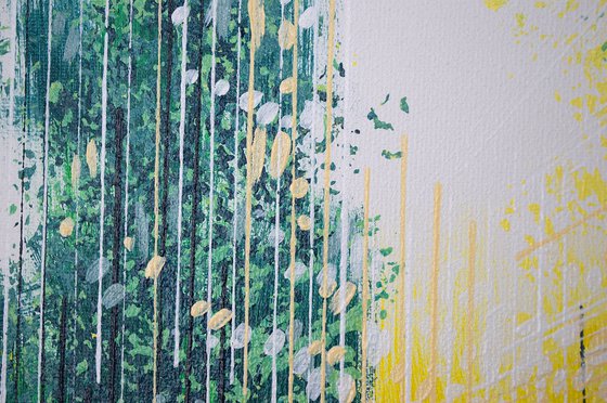 Bright Light Through Trees