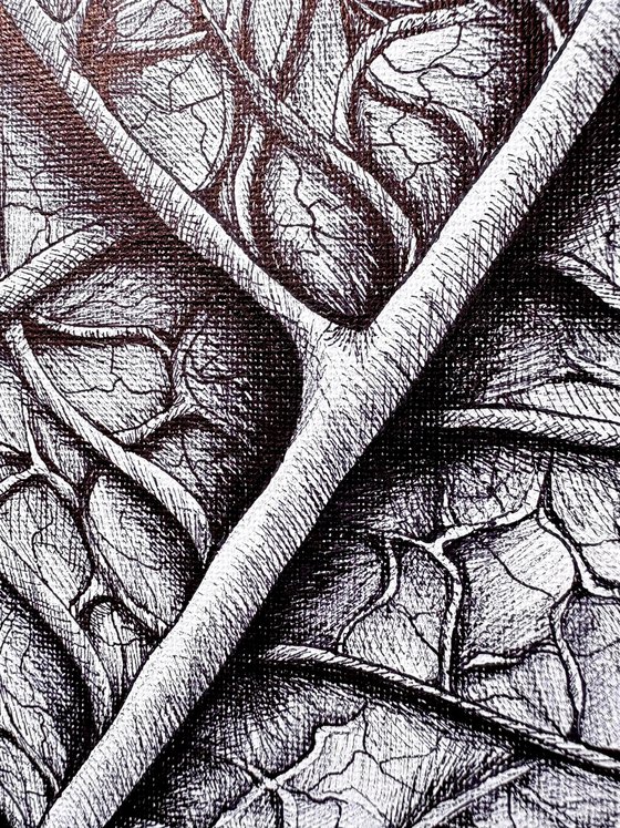 THE SOUL OF A LEAF