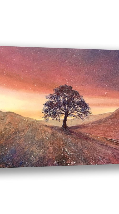 Light Over Sycamore Gap by Jennifer Taylor