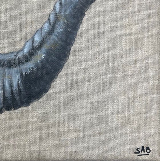 Elephant Grey #2