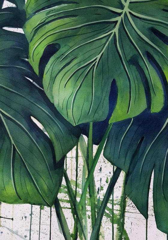 Abstract Monstera Plant