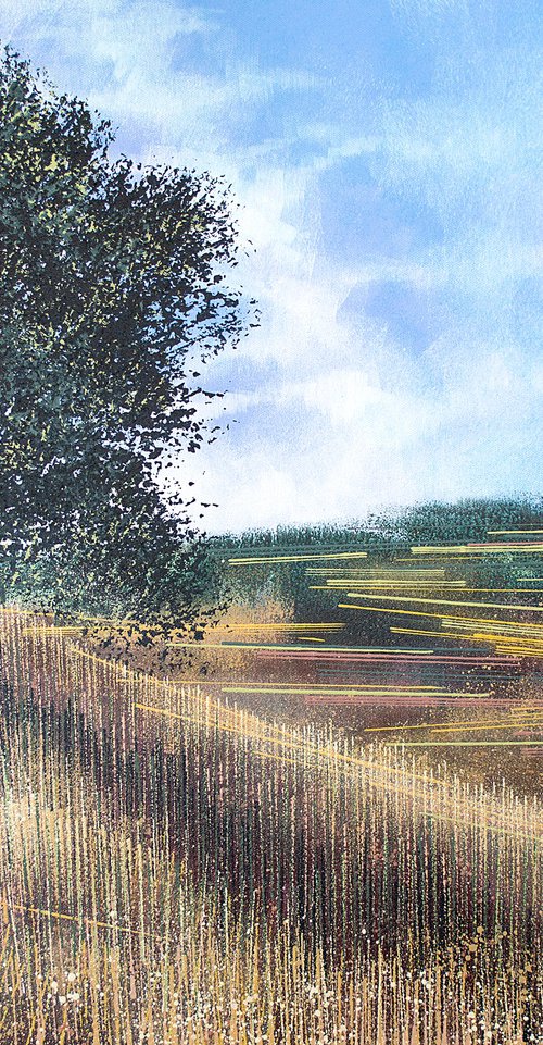 Meadow In Late Summer by Marc Todd