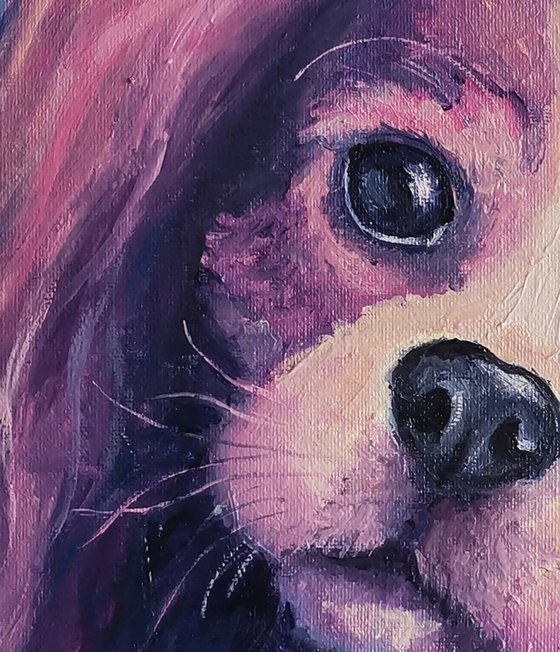 Cavalier King Charles Spaniel. 50x40 cm