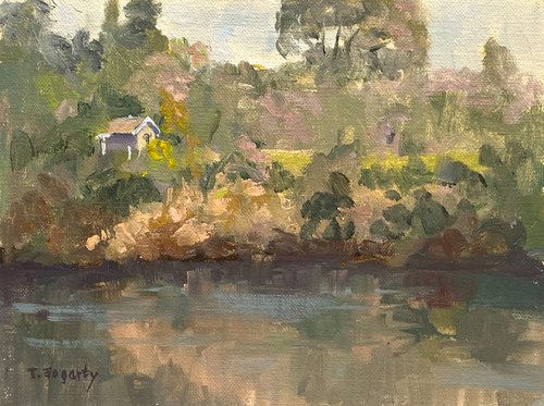 House on the American River by Tatyana Fogarty