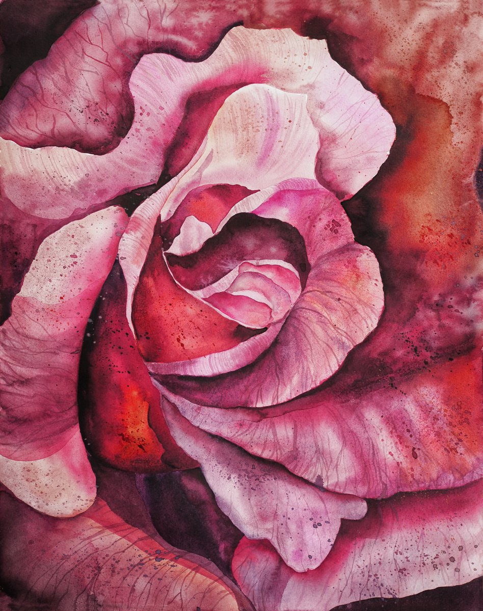 Impressionistic Botanical Watercolour By Delnara El, 16 X 20, Inside The Pink Rose, Original Artwork