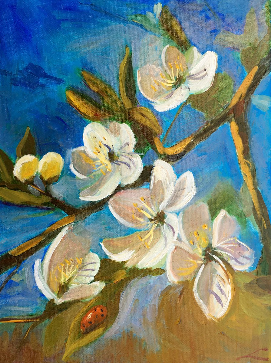 Impressionistic Botanical Oil Painting By Elena Sokolova, 12 X 16, Apple Tree Blossum, Original Artwork