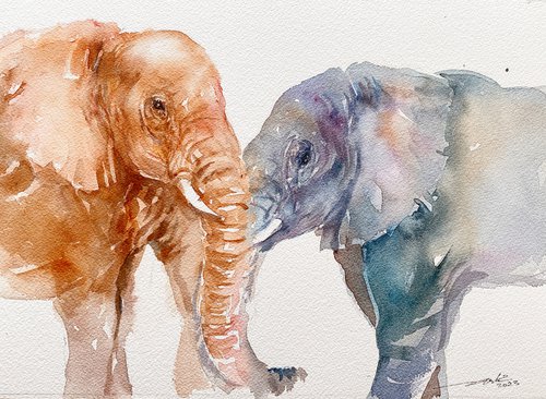 Elephant Love by Arti Chauhan