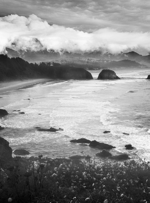 ECOLA STATE PARK by Harv Greenberg