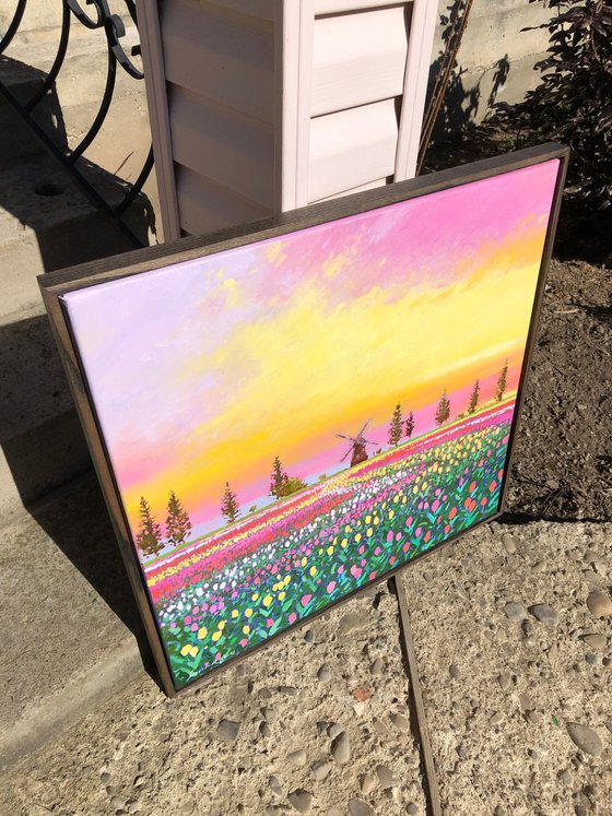 Sunset over tulips field