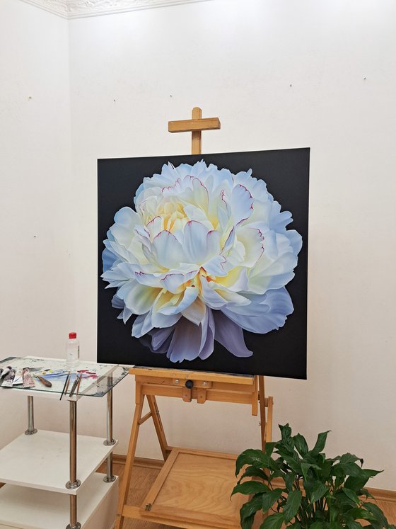 Scent of white peony