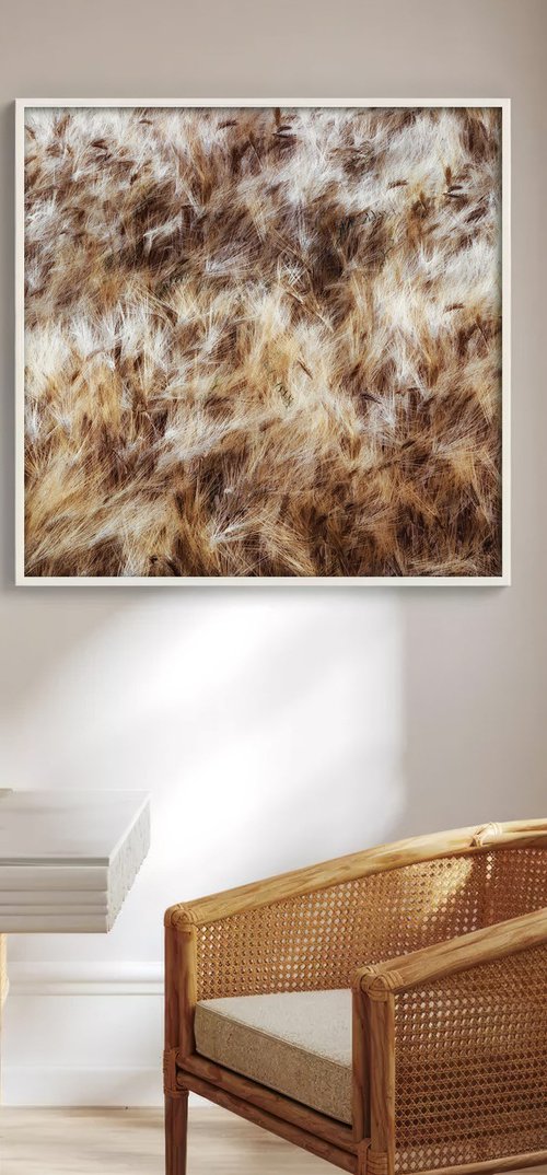 Dancing grains (studio 9) by Karim Carella