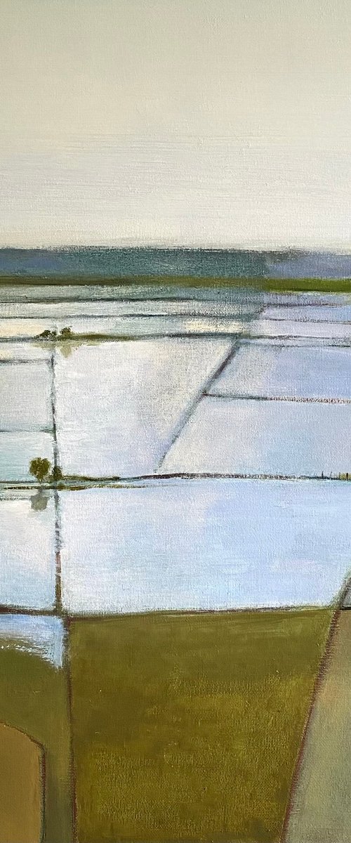 Wessex Marshes by Nigel Sharman