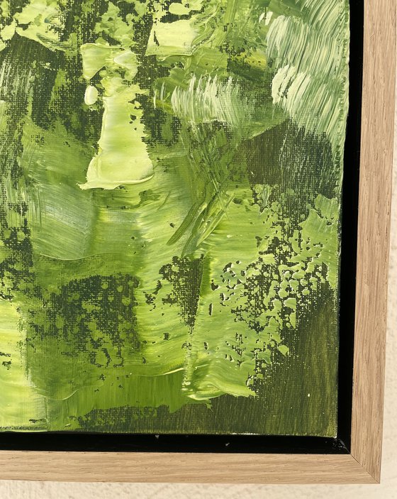 A Forest Dance