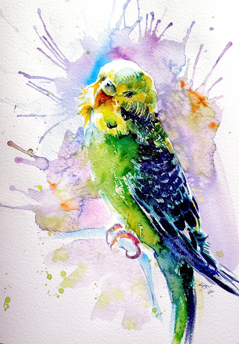 Impressionistic Animal Watercolour By Kovacs Anna Brigitta, 10 X 14", Lovely Parrot, Original Artwork