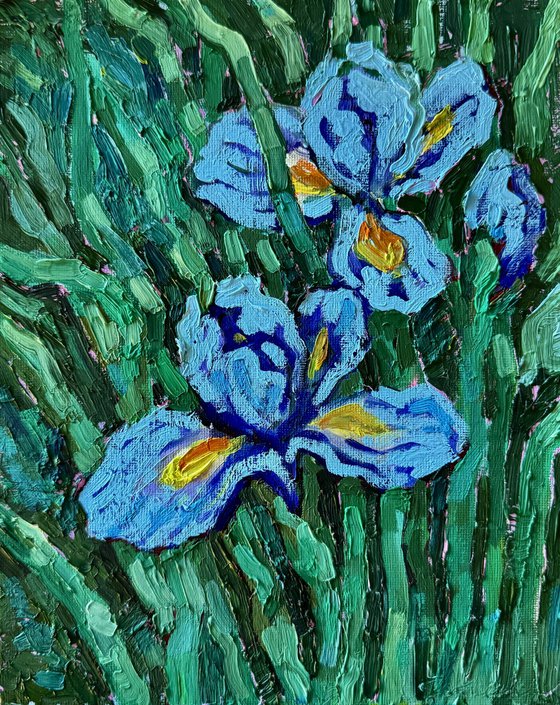 Iris
