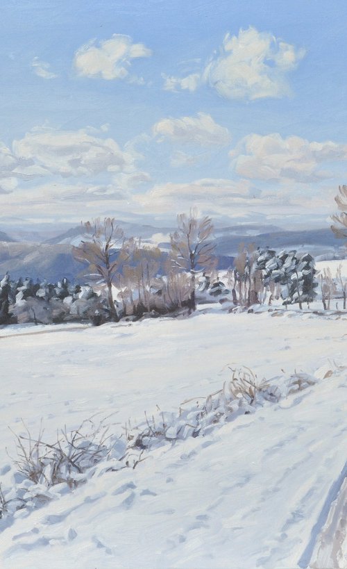 Path in the snow-capped Velay mountains by ANNE BAUDEQUIN
