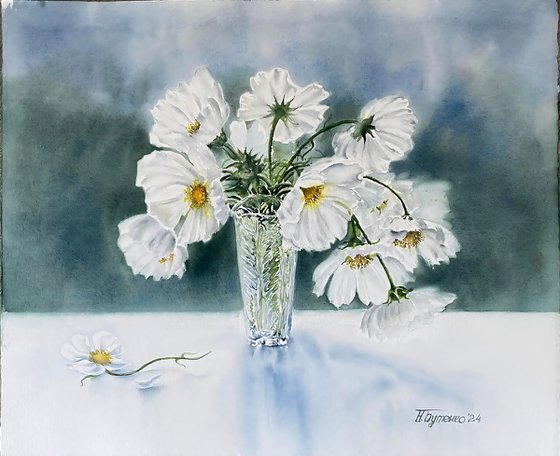 White cosmos