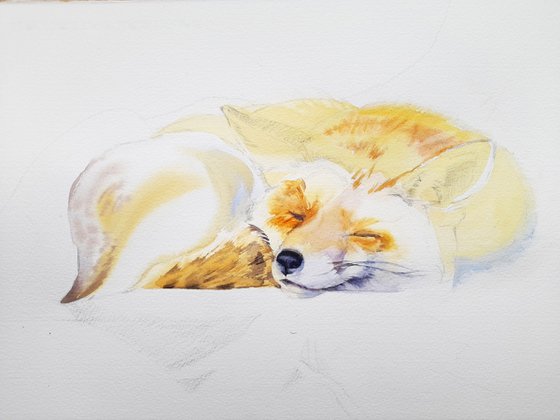 Sleeping Fox