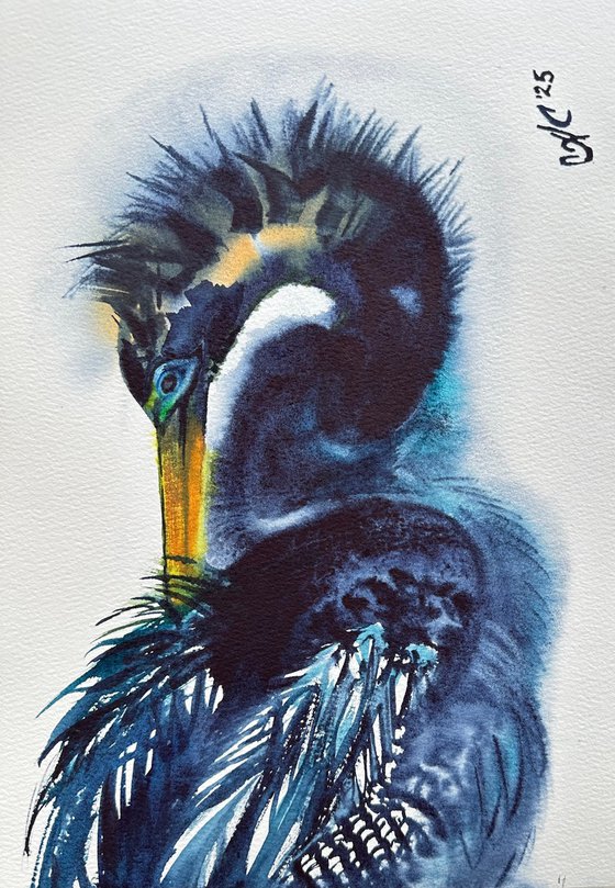 Birds: White Heron and Anhinga