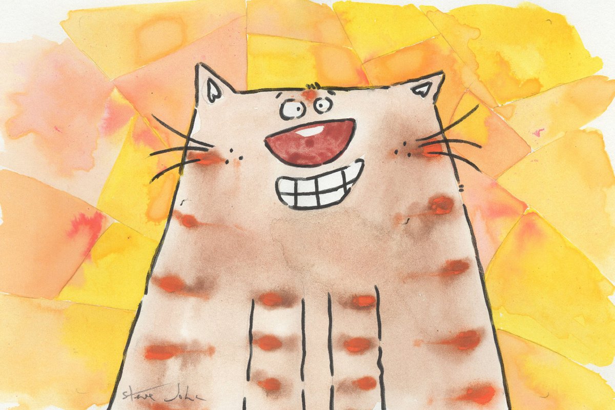 The cat with the cheesey grin by Steve John
