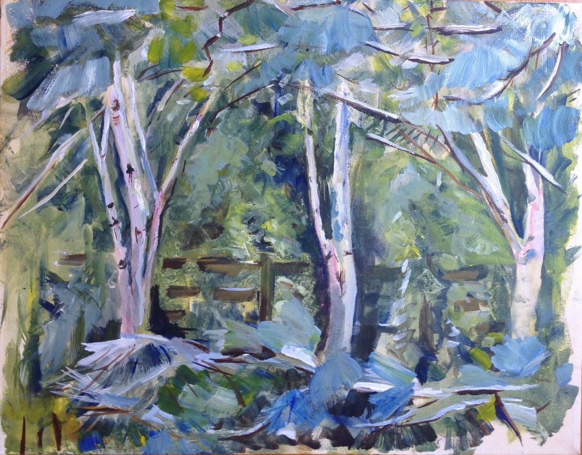 Impressionistic Landscape Acrylic Painting By Sandra Haney, 18 X 14", Birch And Pine Grove, Original Artwork