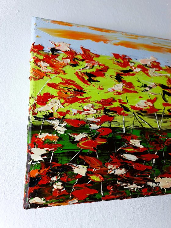 A Meadow Full Of Poppies 1