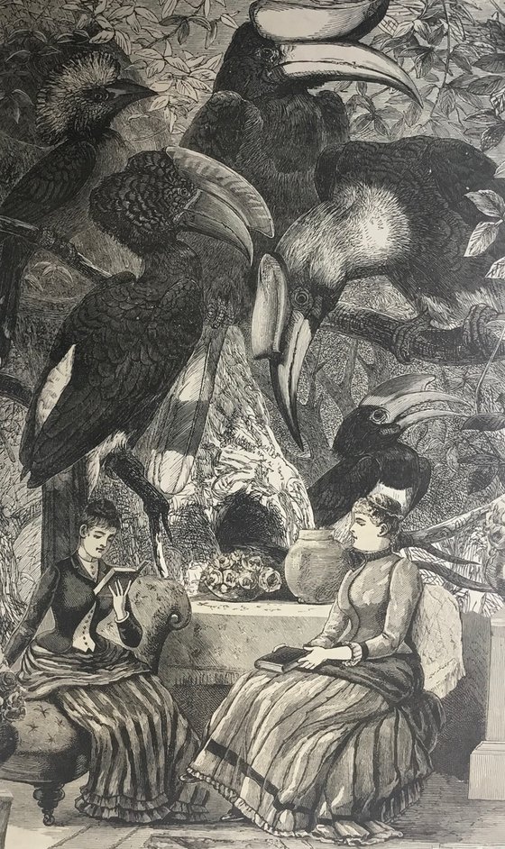 Reading with the hornbills