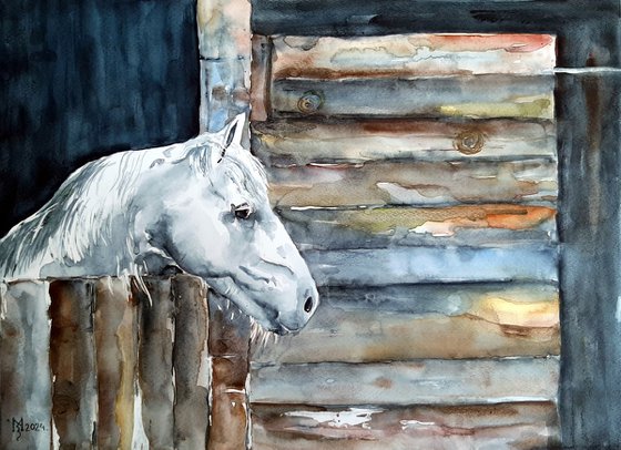 WHITE HORSE