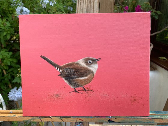 Wren on Rose Gold