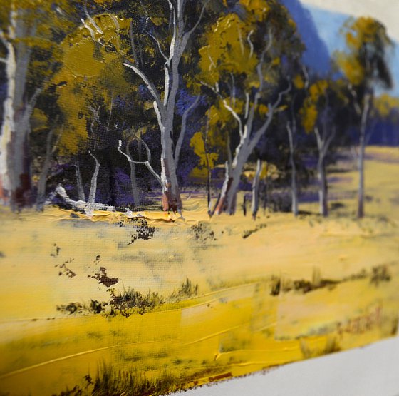 Australian Landscape with Gum trees